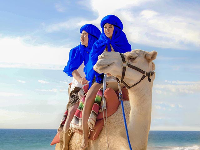 Camel Ride