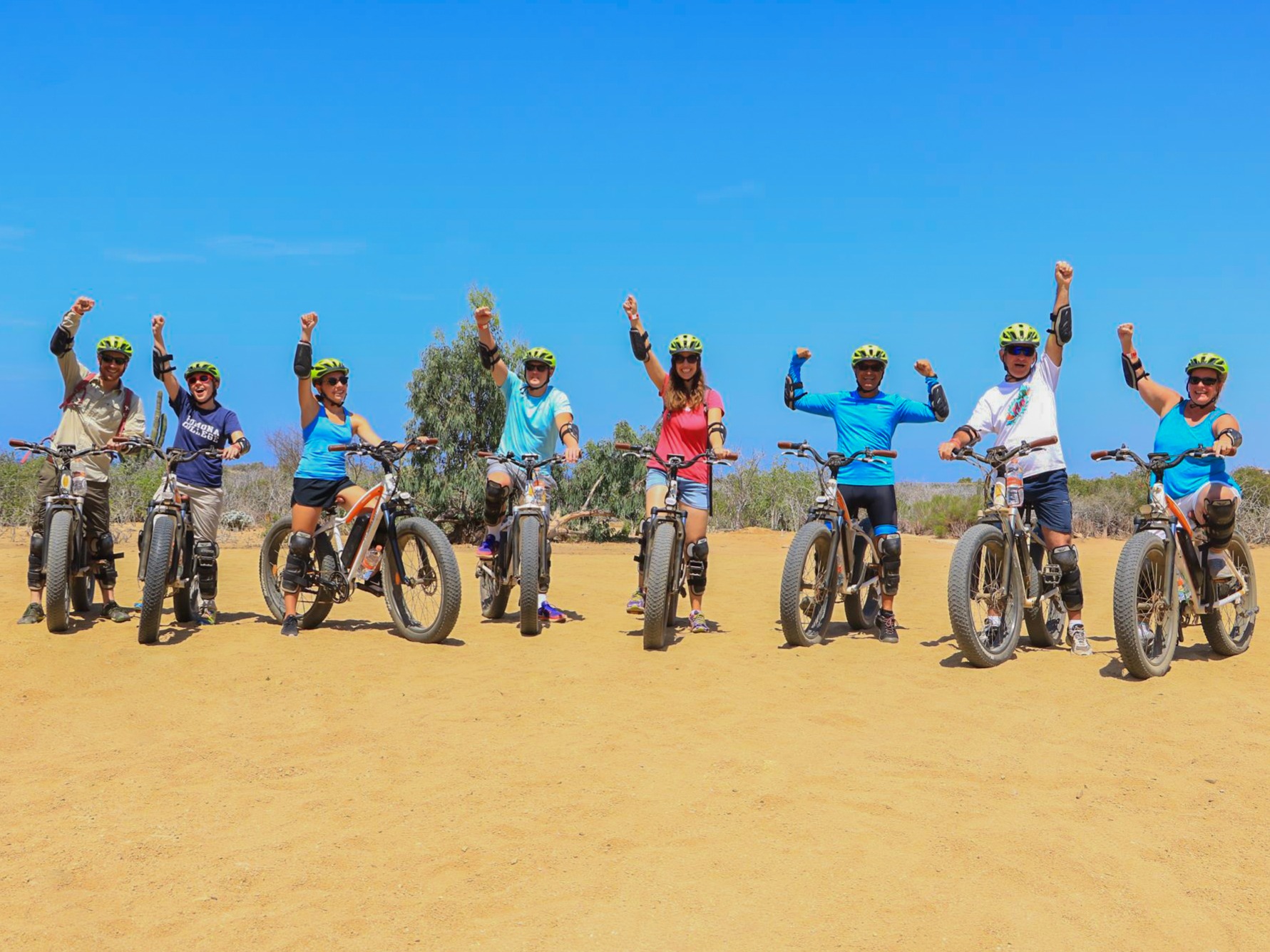 Electric Bikes T